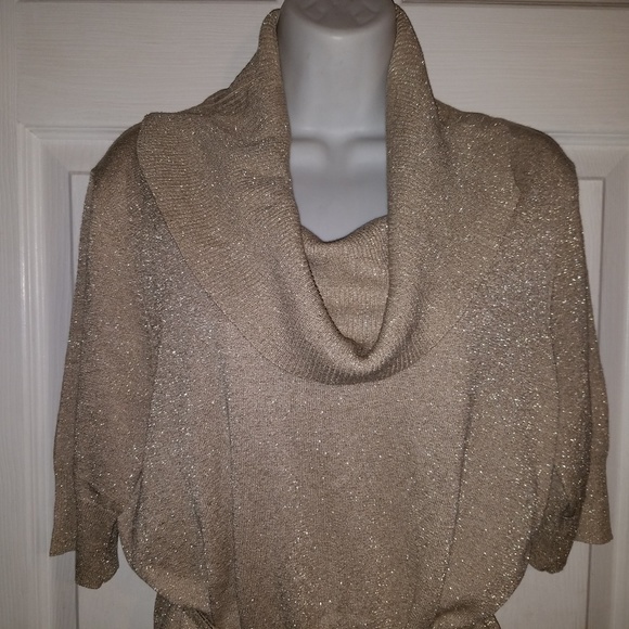 Josephine Studio Cowl Neck Silk Metallic Blouse - Picture 3 of 9